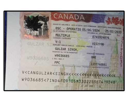 Company Logo (500 x 400 px) (3)